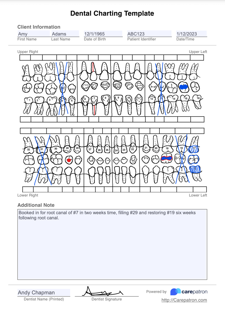 Dental charting template